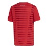 Goedkope Internacional Thuisshirt 2021-22